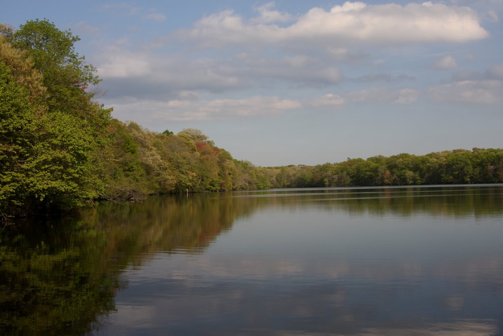 Stump Pond