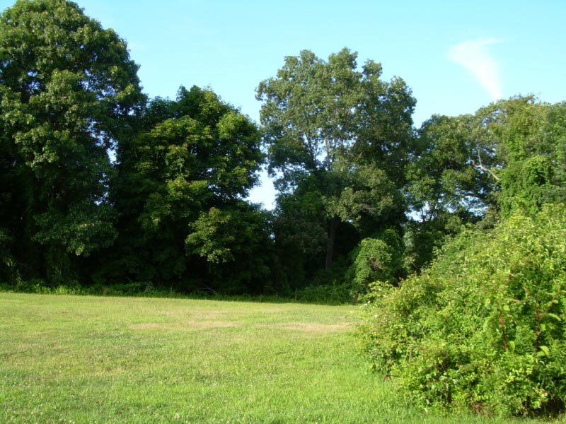 Blydenburgh County Park
