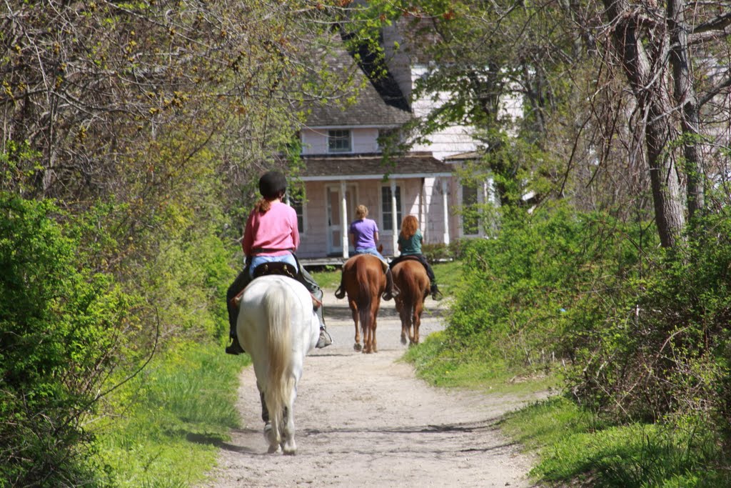 Horseback Riding in the Park