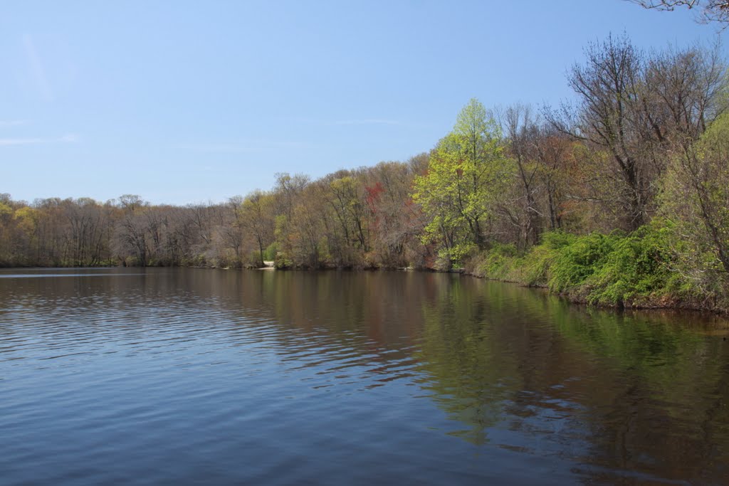 Stump Pond