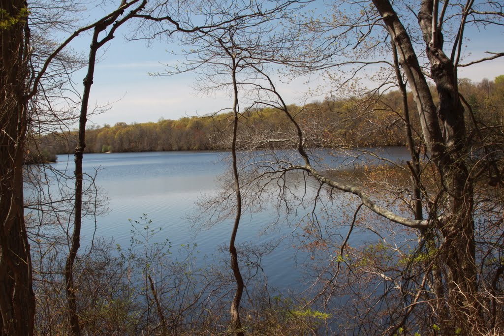 Stump Pond