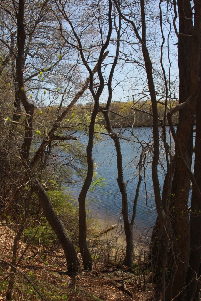 View of the Lake