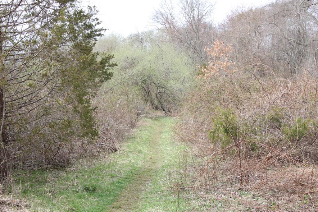 Greenbelt hiking trail