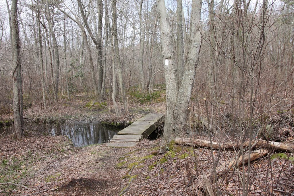 Greenbelt hiking trail