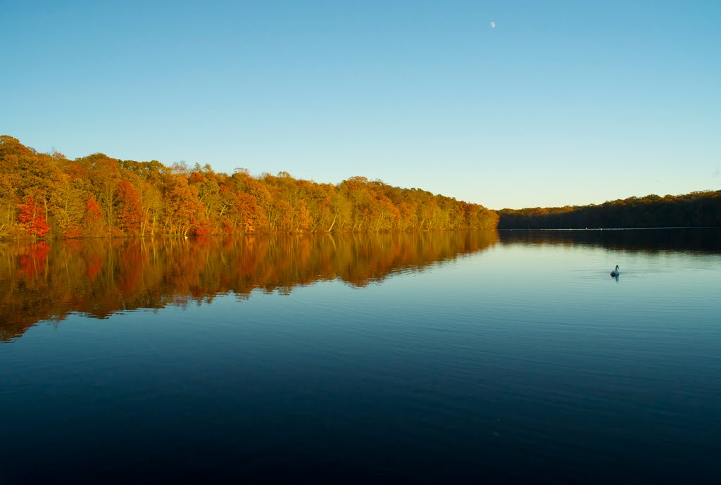 Stump Pond Smithtown, NY
