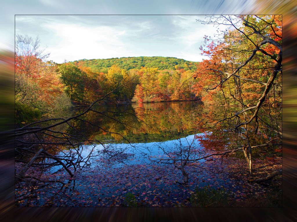 Private Lake in NY 2008