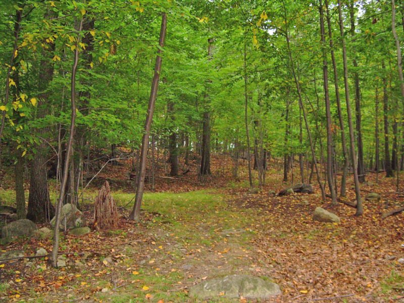 Veterans Memorial Park