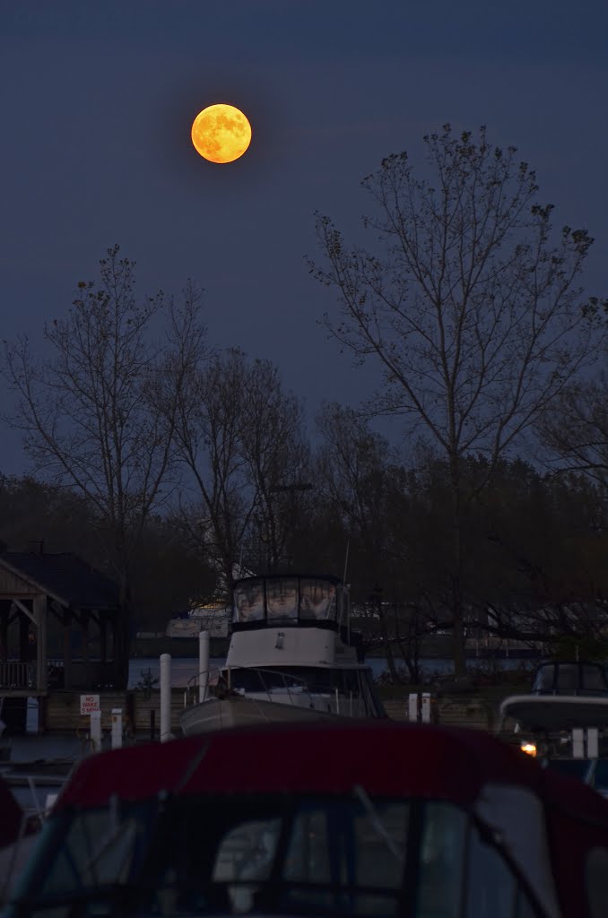 Hunters Moon