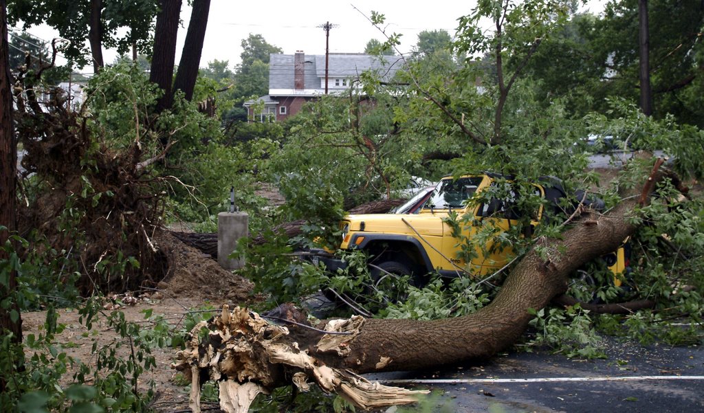 Micro-Burst Damage Aug. 16, 2002