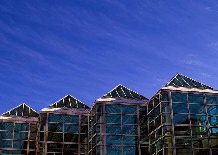 The Atrium
