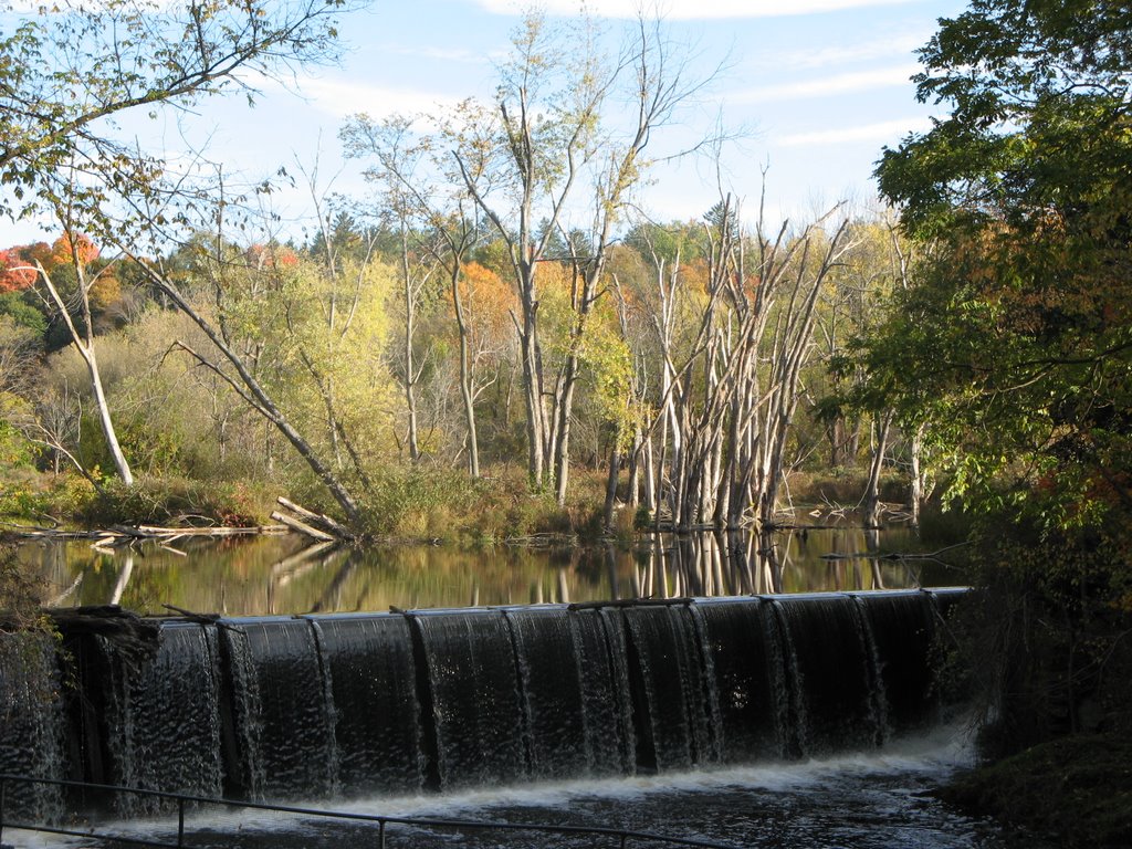 Falls at Ida Lake
