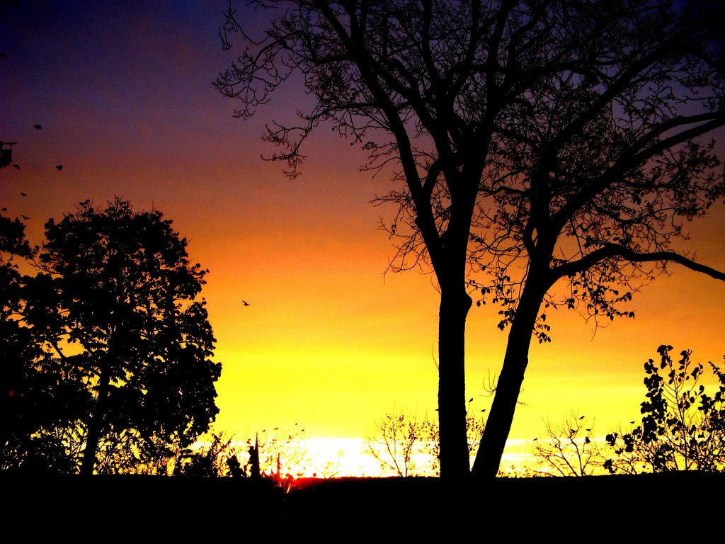 Crepuscular Colors