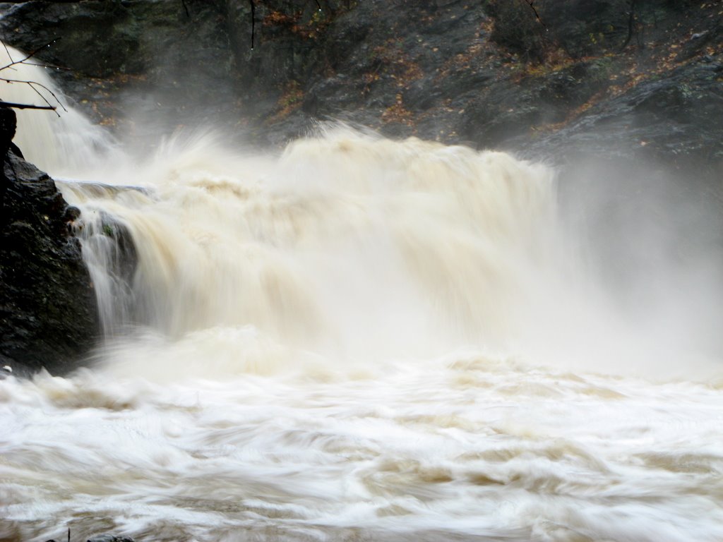 Froth and Turmoil
