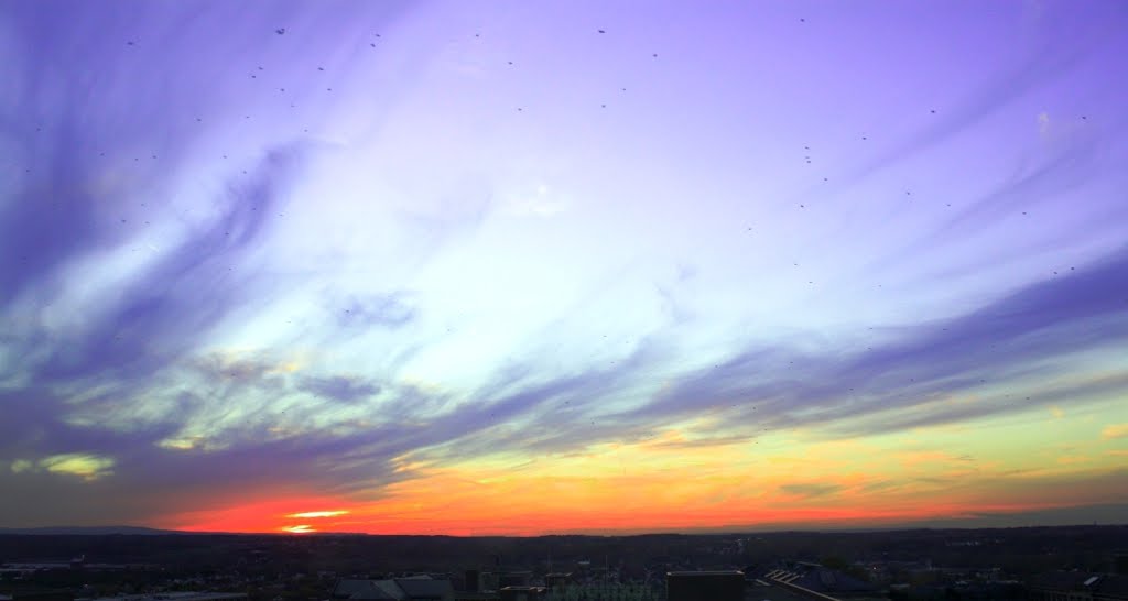 Flying into sunset