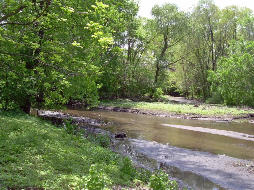 Bronx River Trail