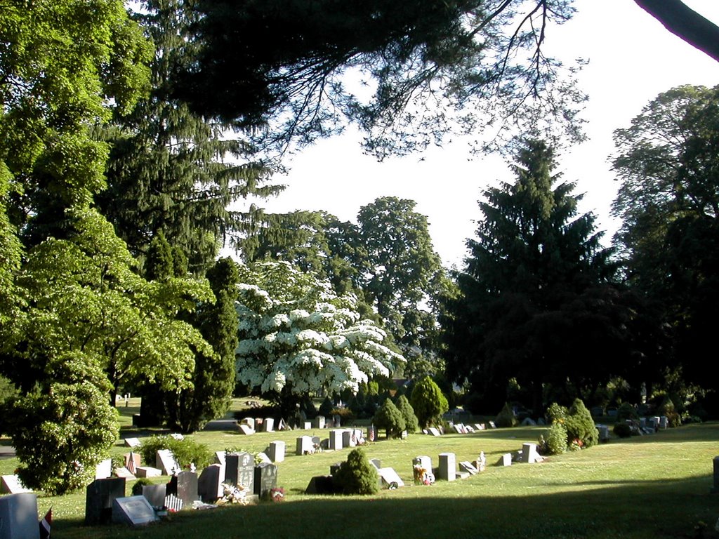 White Plains Rural Cemetery