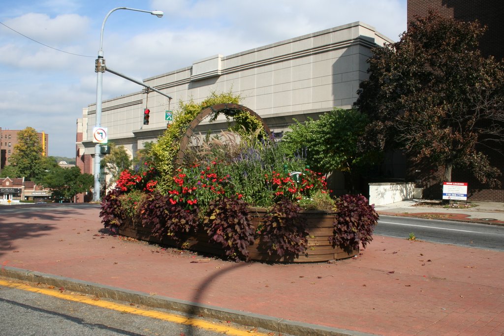 The Really Big Basket of Flowers, White Plains, NY