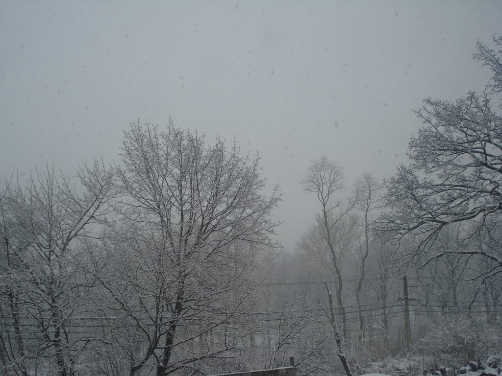Nieve 2009