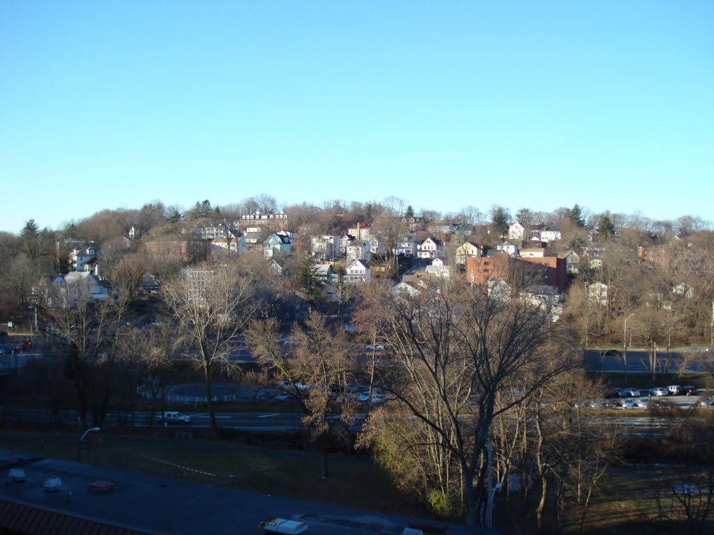 White Plains