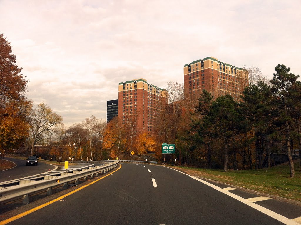 Bronx River Parkway approaching routes 100 and 119