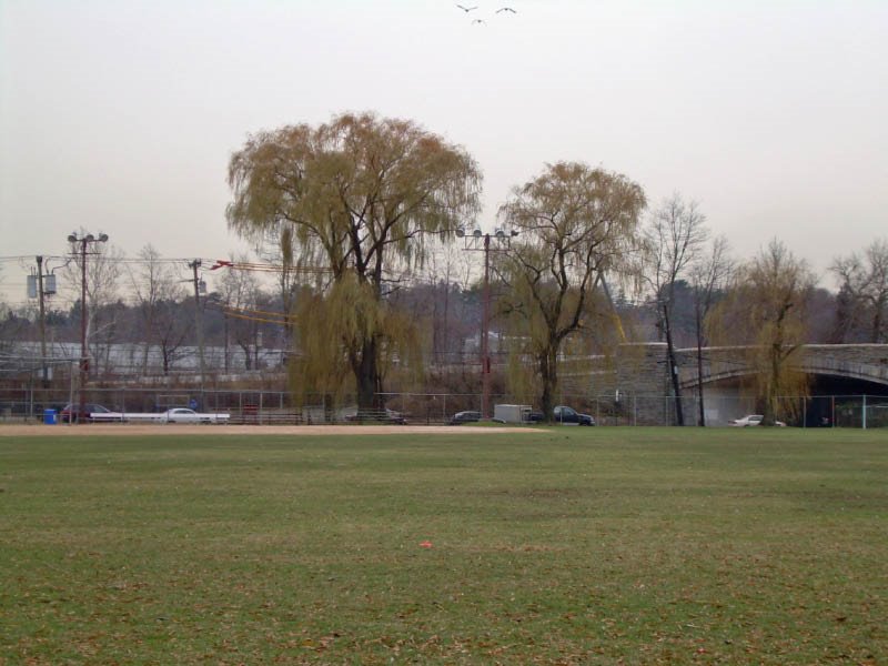 Delfino Park