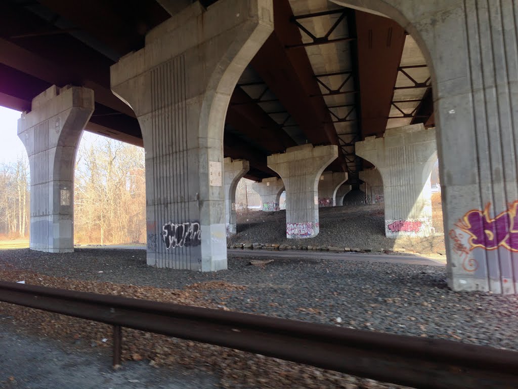 Bronx River Parkway under Rt. 287