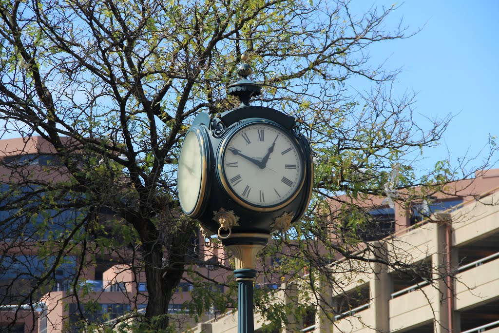 Clock Outside Public Library, White Plains NY