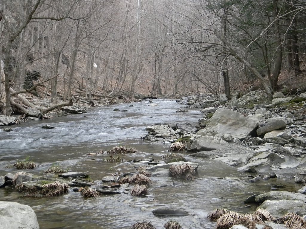 High Falls Stream