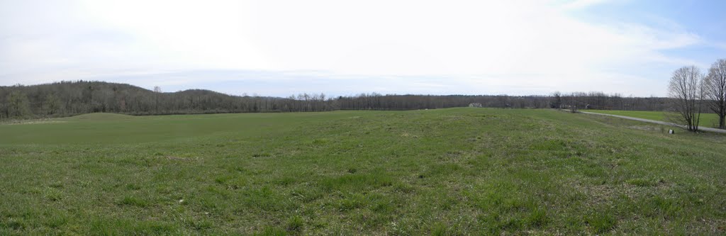 Field off Carpenter Road