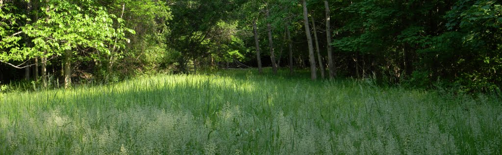 Harlemville rail trail