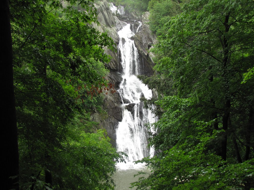 High Falls (250)