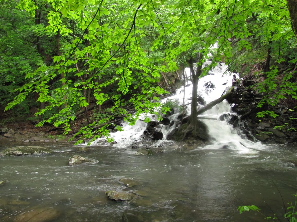 Tributary Falls on High Falls Creek (~100)