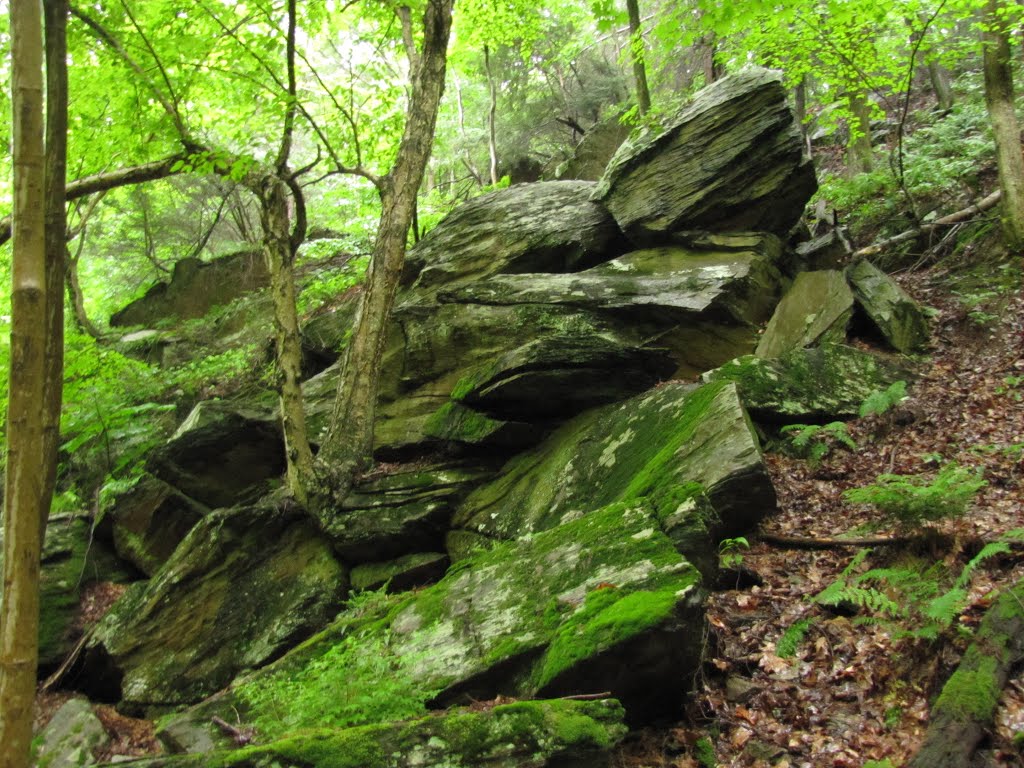 High Falls Trail