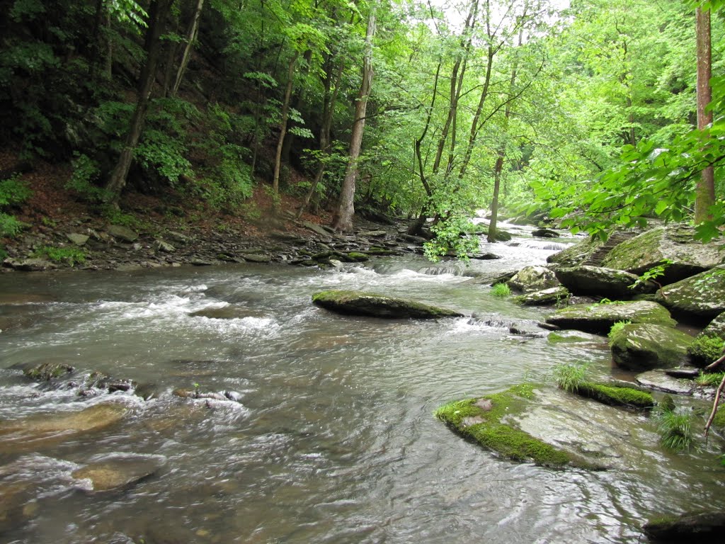 High Falls Trail
