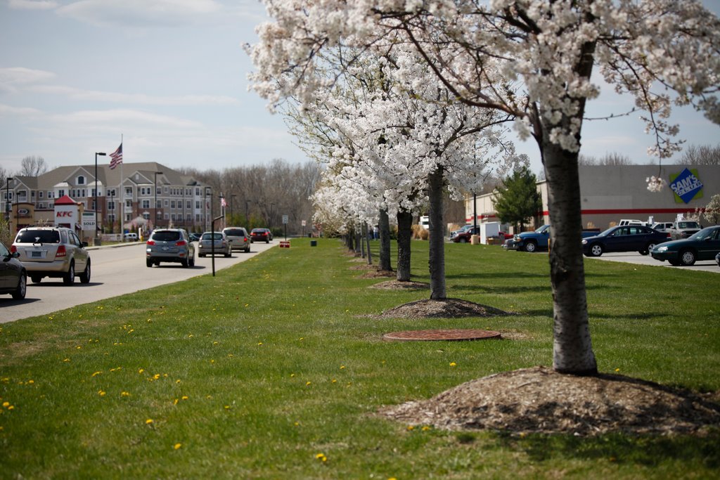 Spring, Fishkill mall
