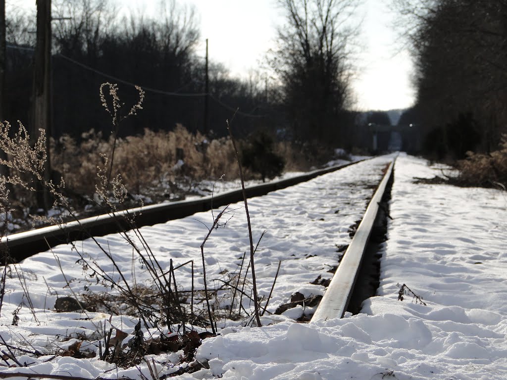 Harlem and Hudson Lines Connector (Fishkill)