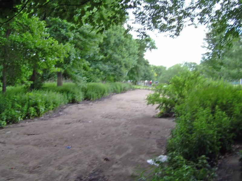 Halls Pond