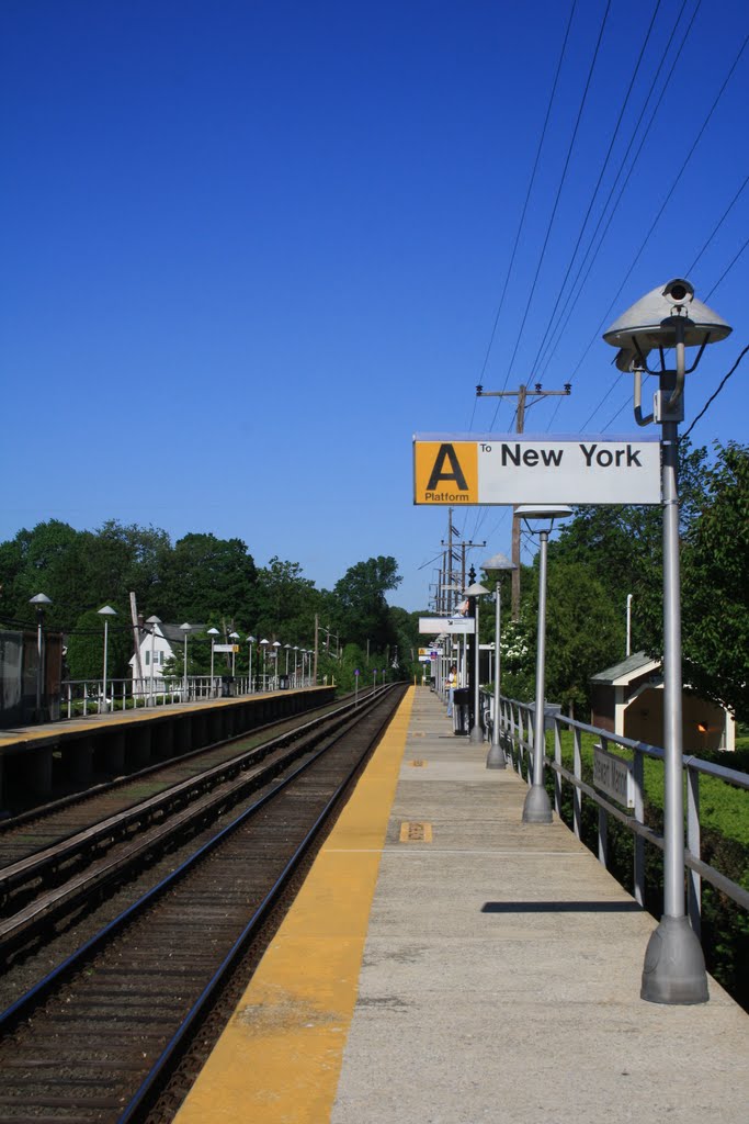 Train Station Stewart Manor
