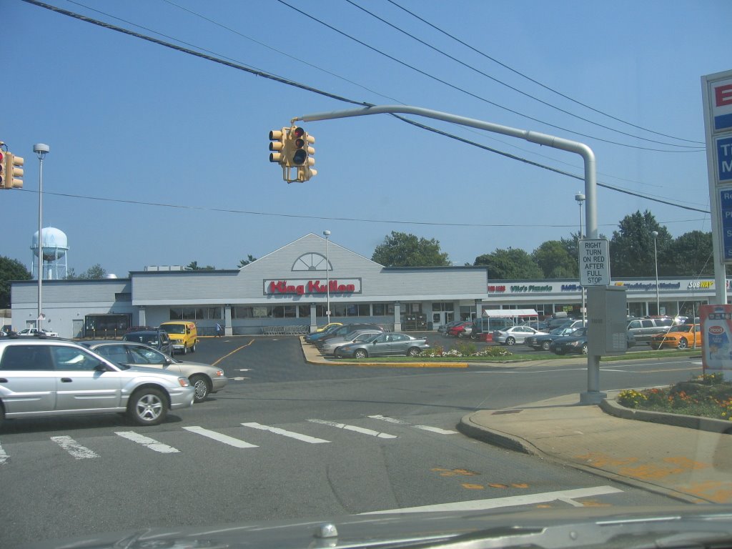 tulip & New hyde park rd. ny