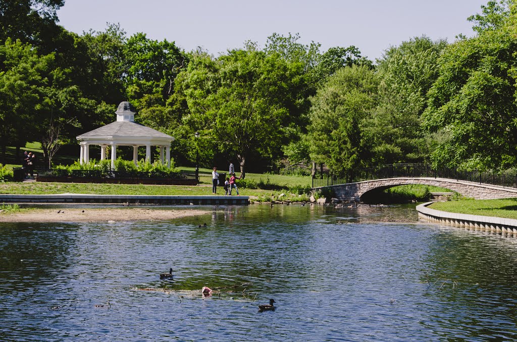 Halls Pond