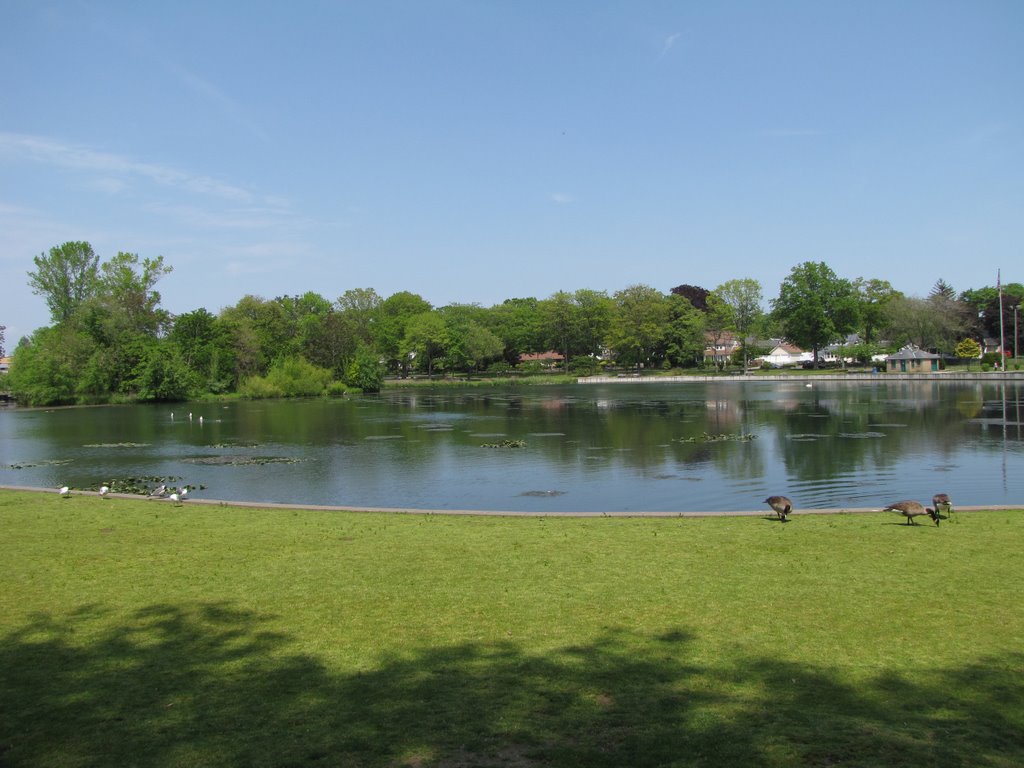 Milburn Pond