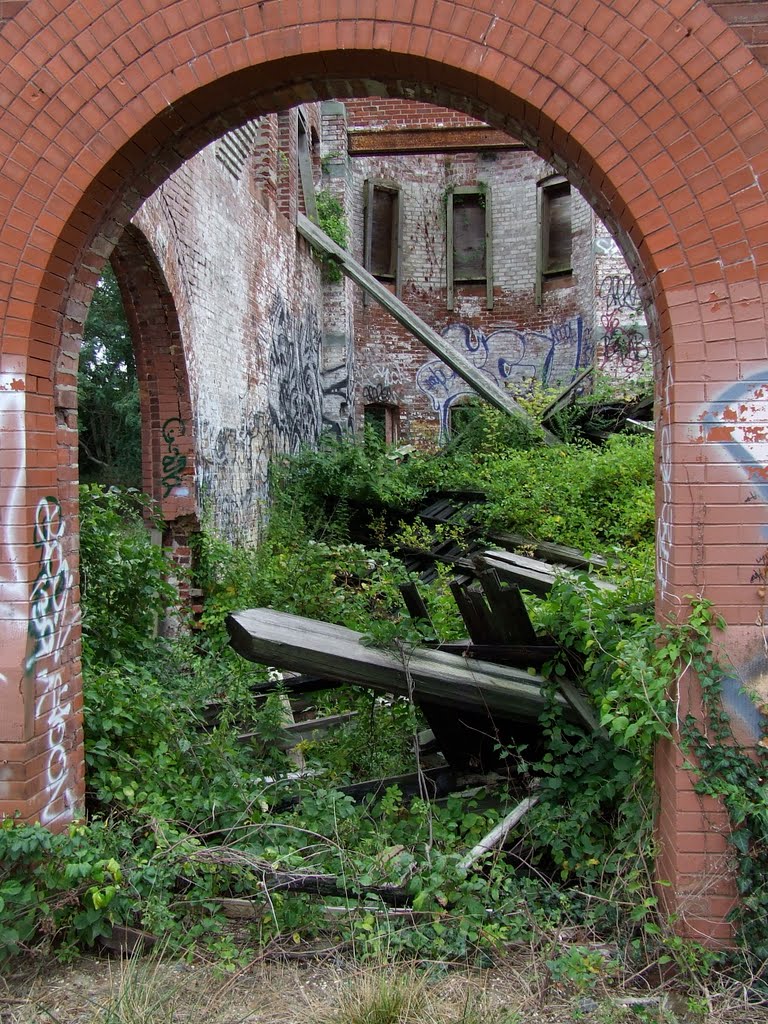 Ruins of Former Glory
