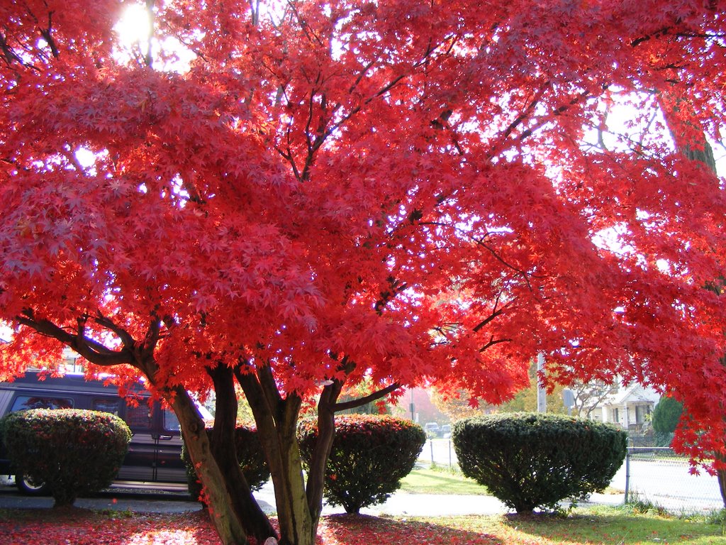 Otoño