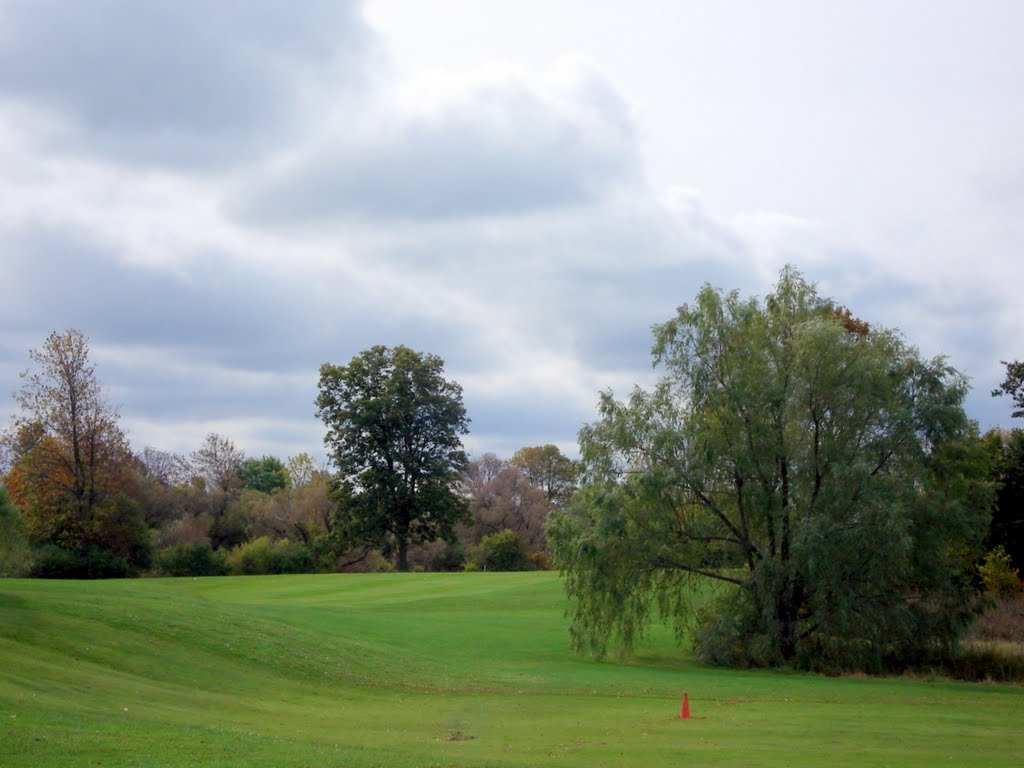 Golf Club, Buffalo, NY
