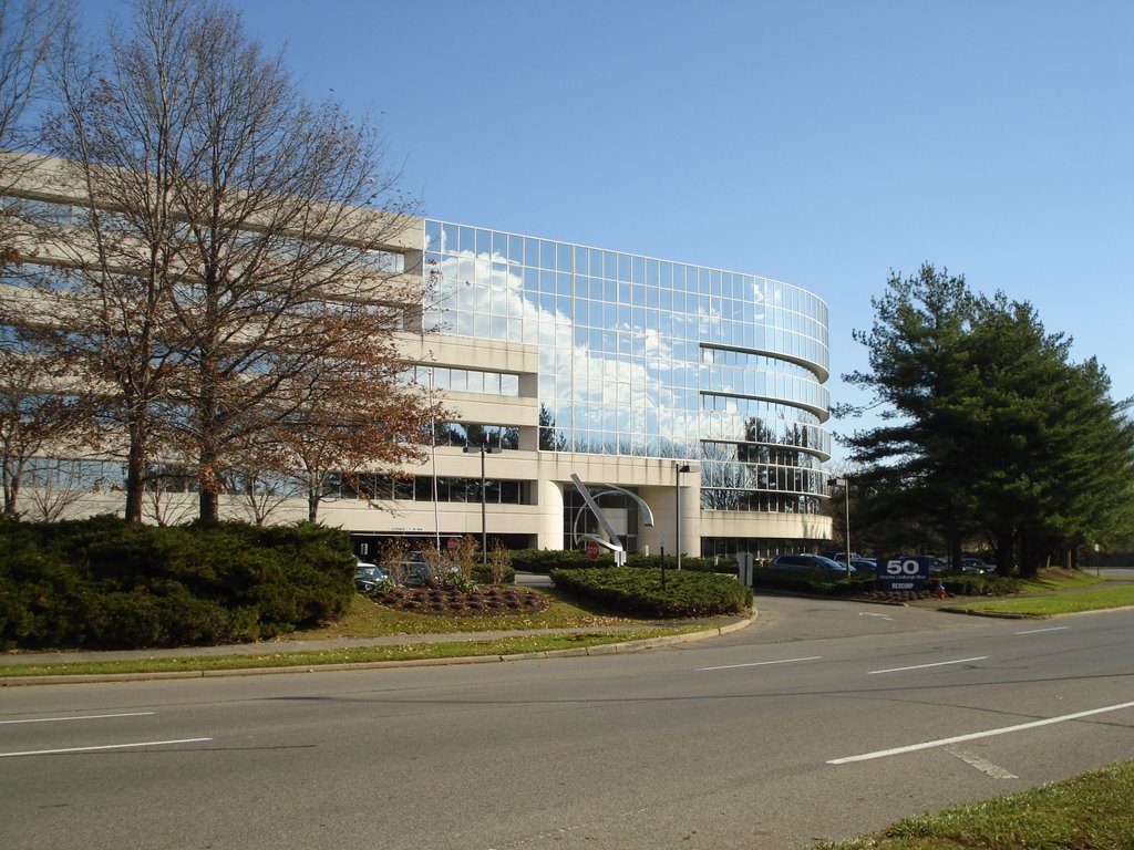 Rexcorp