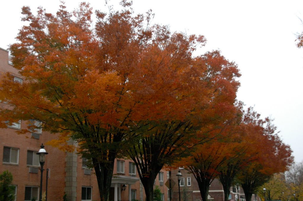 Garden City: Seventh Street