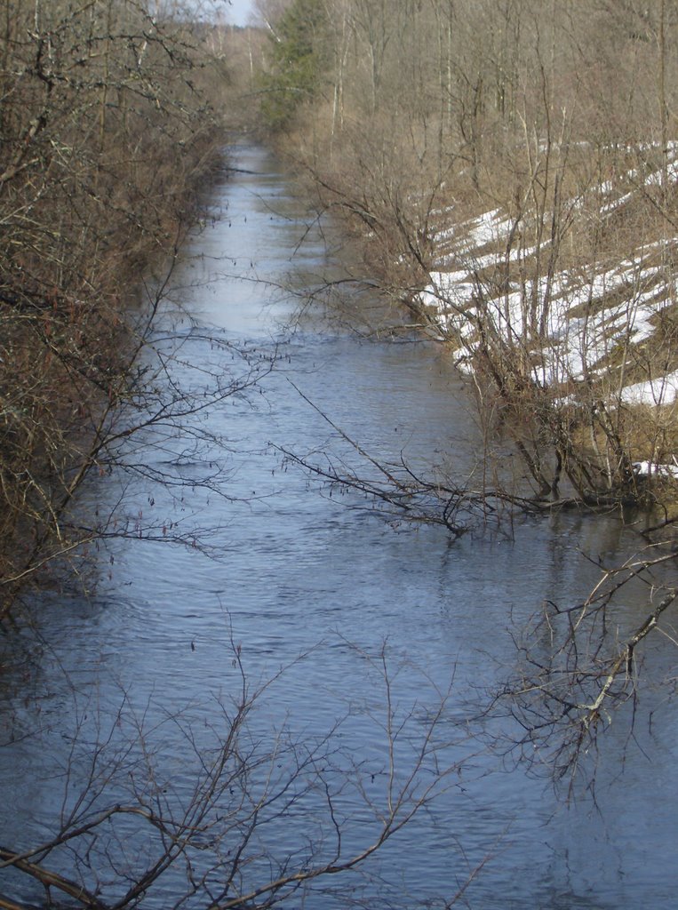 Nine Mile Canal Feeder - Trenton, NY