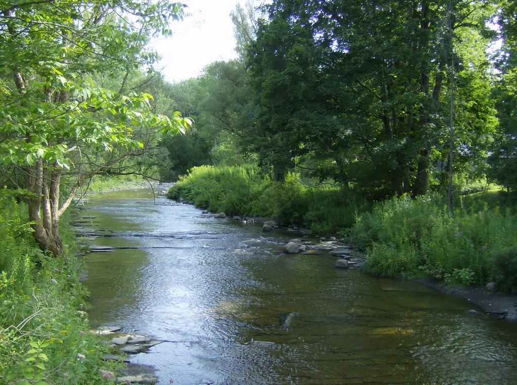 Nine Mile Creek in South Trenton NY