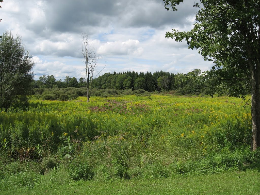 canal trail