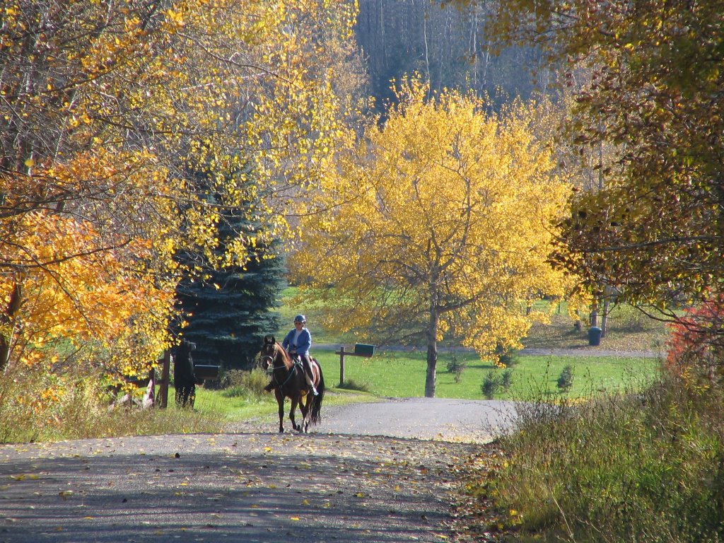 Crestview Drive